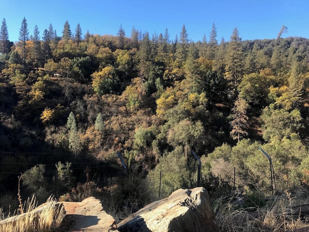 Yosemite Bug Rustic Mountain Resort - photo 127