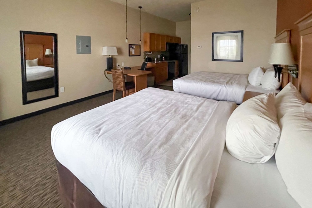 MainStay Suites Sidney Medical Center - photo 19