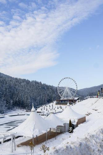 Glacier Premium Apartments — 5-Star Luxury Hotel in Nadvirna, Ukraine