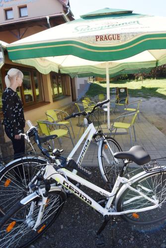 aQuarium Panzió — Abadszalok — photo 4
