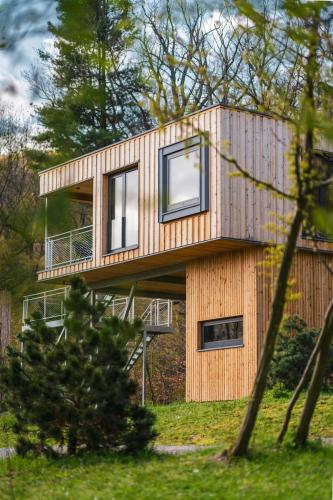 Treetop Loft In Harz National Park