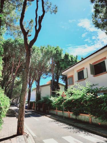 PineTrees Gem Villa Golem — 4-Star Luxury Hotel in Golem, Albania