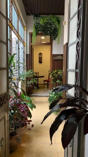 Hospedaje de Luz in San Salvador De Jujuy, Argentina