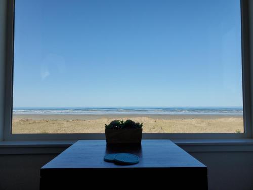 Moonstone Beach Motel - photo 117