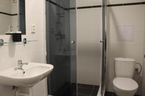 Hotel Cerny kun — Louny — photo 2