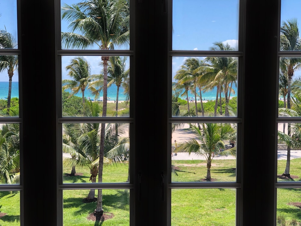 Cardozo Hotel South Beach - photo 15