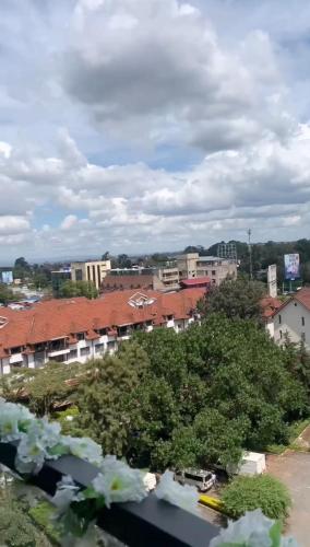 Riara Luxury Pool Gym Junction Mall City Views Nairobi Skyline