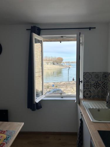 La Vue Du Rhone 21436329 — Arles