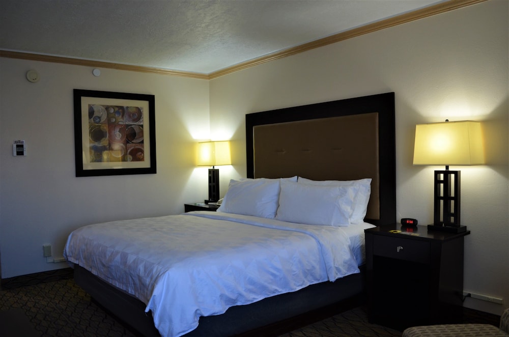 Holiday Inn Rock Springs by IHG - photo 23