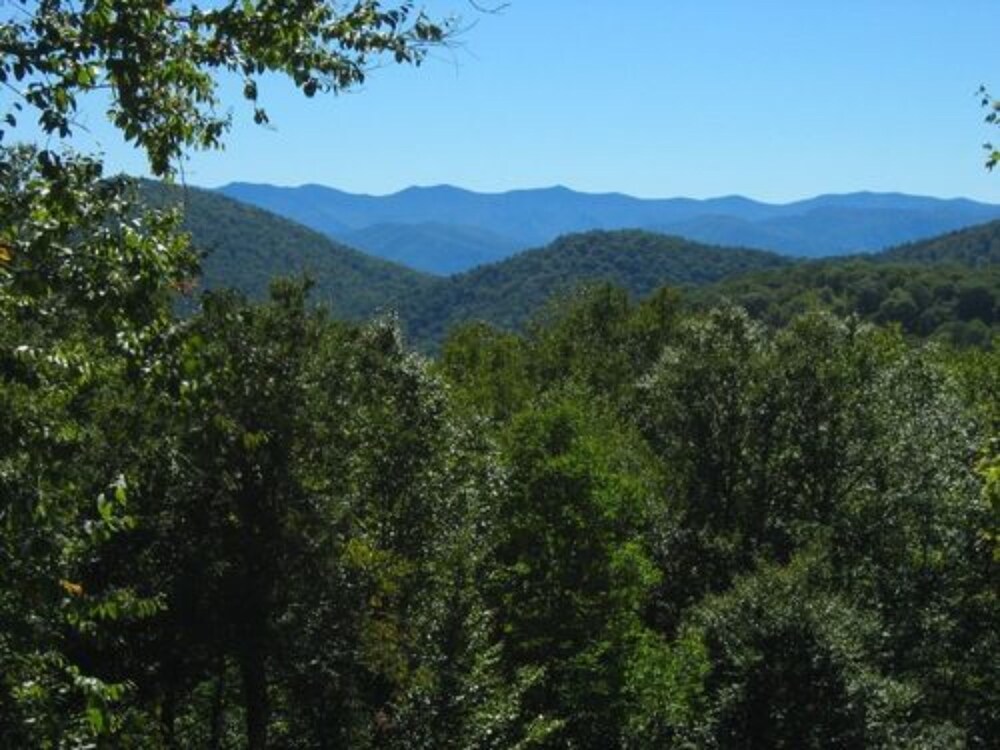 Bald Mountain House Inn at the Wolf Laurel Resort - photo 17