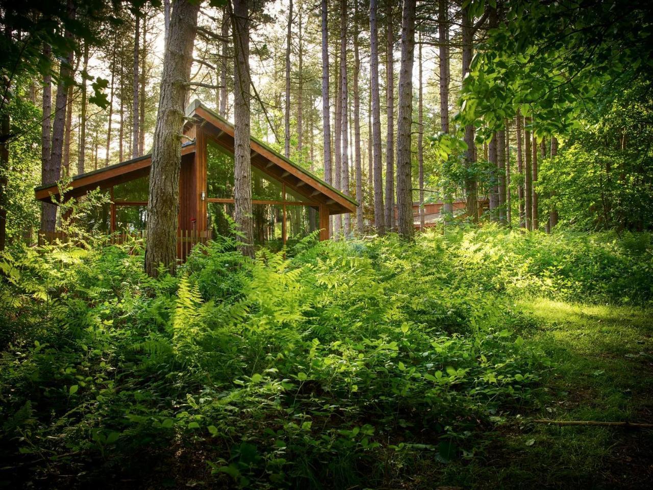 Blackwood Forest Cabins Forest Holidays — 4-Star Luxury Hotel in Winchester, United Kingdom