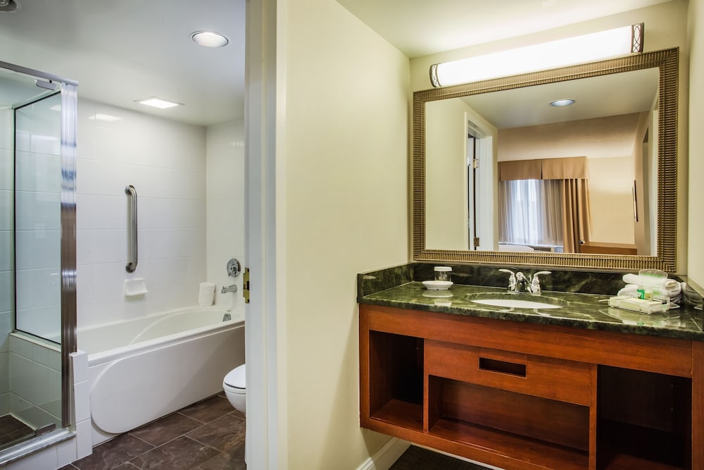 Holiday Inn Saratoga Springs by IHG - photo 26