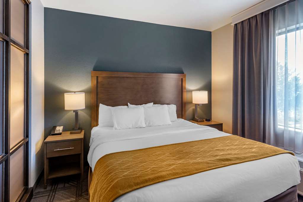 Comfort Inn & Suites Salt Lake City Airport - photo 57