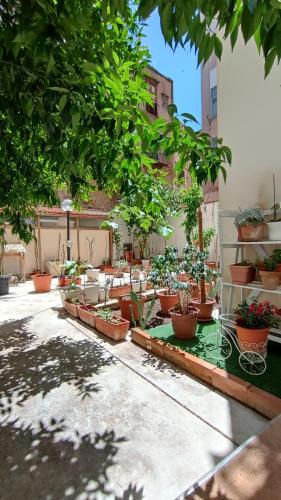 Tati's Garden - last minute hotel in Palermo