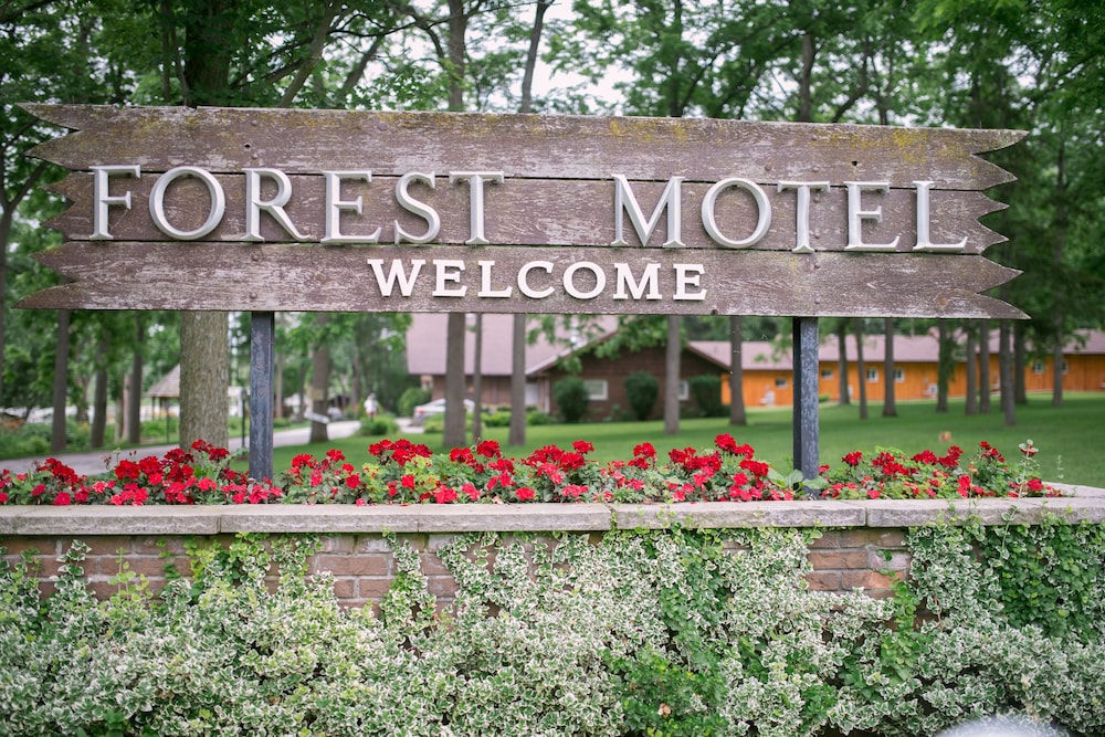 Forest Motel & Woodland Retreat in Stratford, Canada
