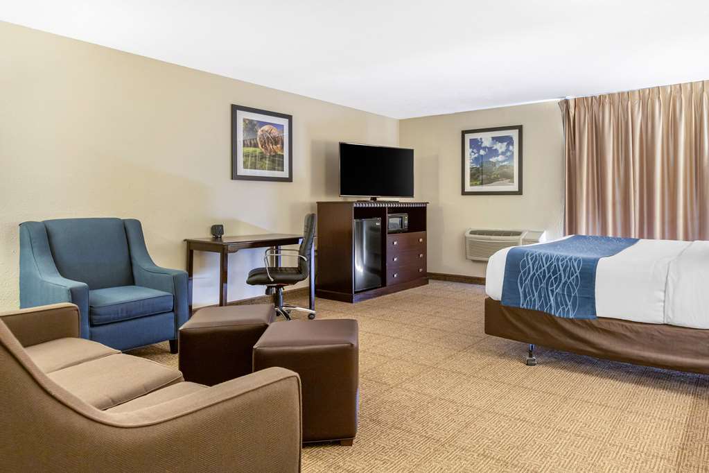 Comfort Inn Grand Rapids Airport - photo 9