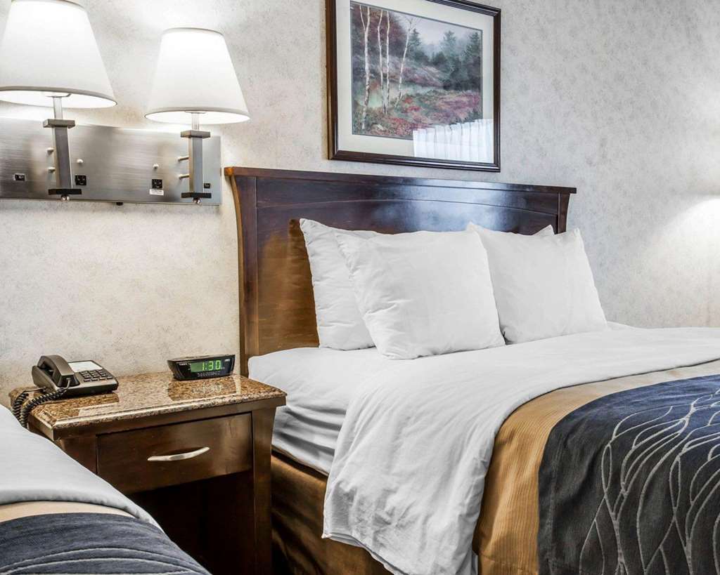 Comfort Inn Bellingham - photo 6