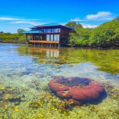 Bahia Coral Lodge — 4-Star Luxury Hotel in Bocas Del Toro, Panama