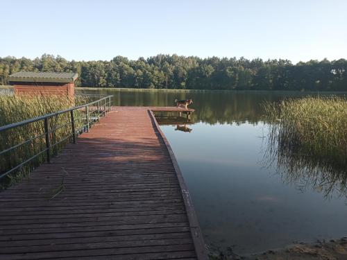 Zalesie z pomostem I — hotel in Barczewo