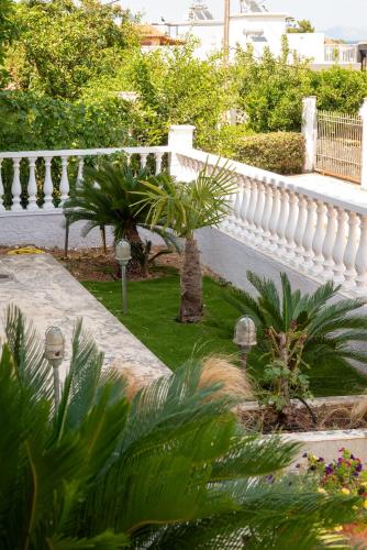 Elmar Sea & Sun — Artemida — photo 4