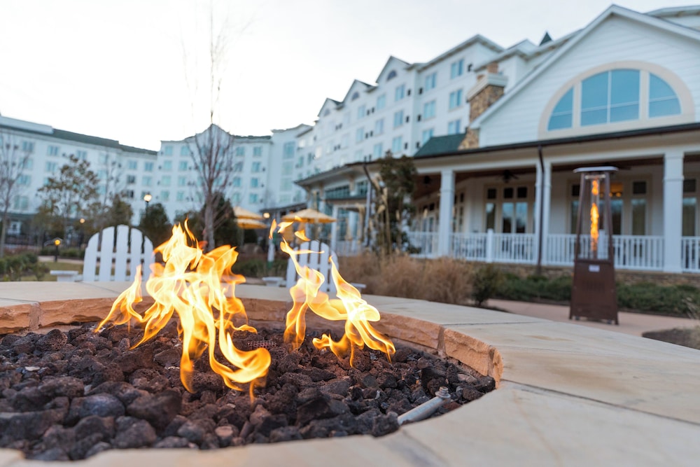 Dollywood's DreamMore Resort - photo 45
