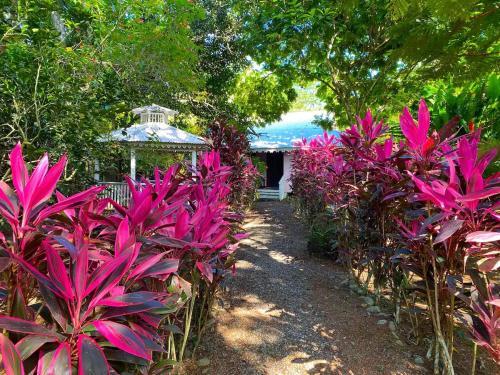 Calypso Cabaña in Unknown City, Costa Rica