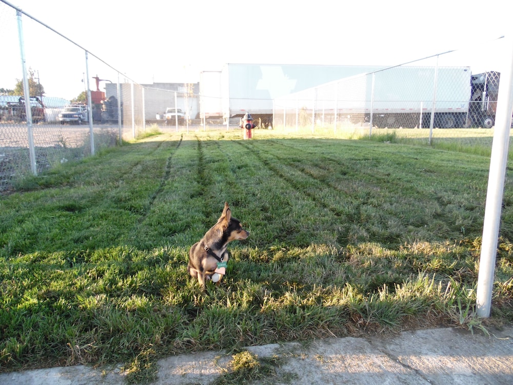 Rodeway Inn Hermiston Umatilla - photo 30