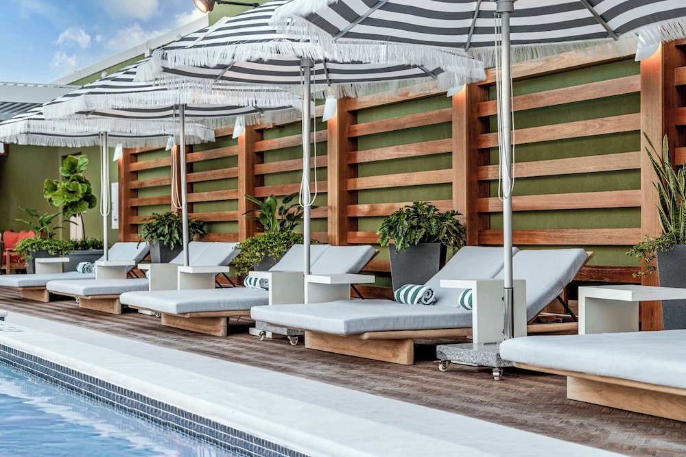 The Hiatus Clearwater Beach Curio Collection By Hilton - photo 62