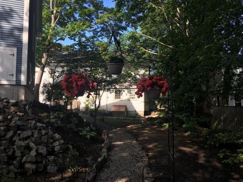 The Black Boar Inn - photo 25