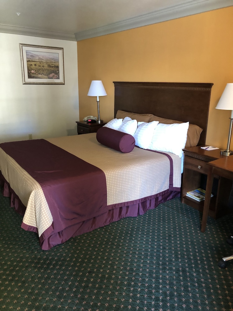 Cloverdale Wine Country Inn & Suites - photo 6