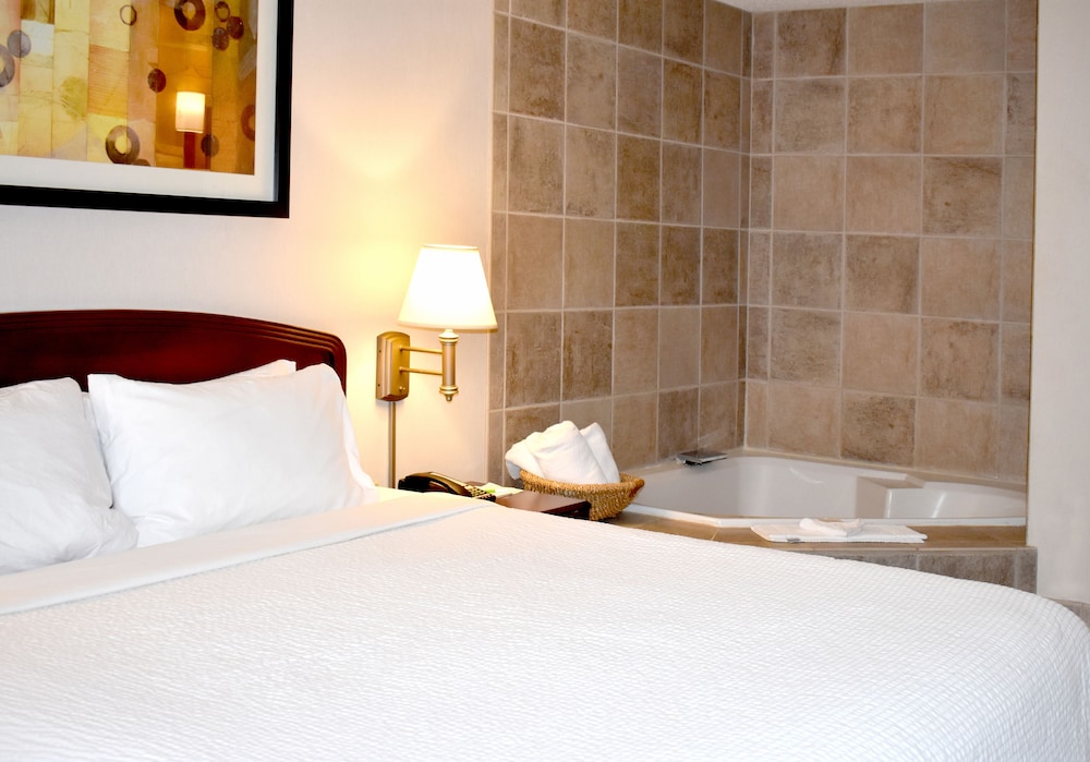 Courtyard by Marriott Denver South Park Meadows Mall - photo 6