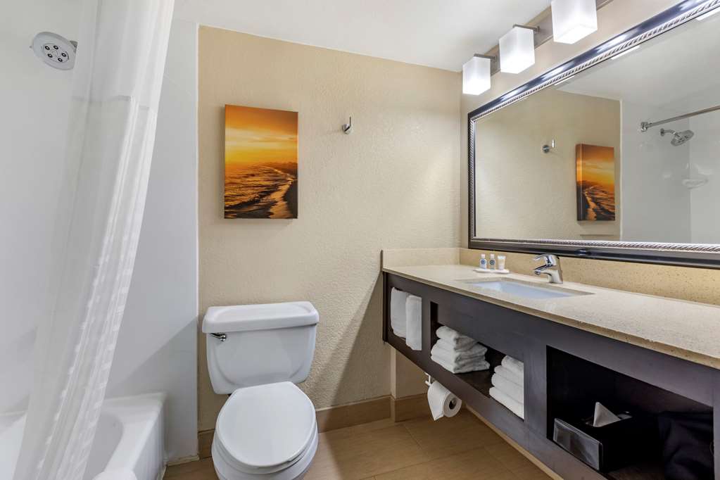 Comfort Inn San Diego Old Town - photo 22