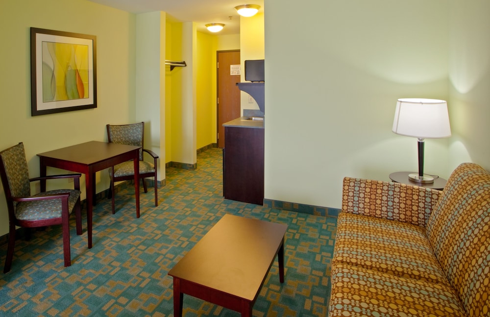 Holiday Inn Express & Suites Thornburg S. Fredericksburg by IHG - photo 9