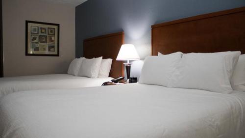 SureStay Plus Hotel by Best Western St. Louis Airport - photo 3