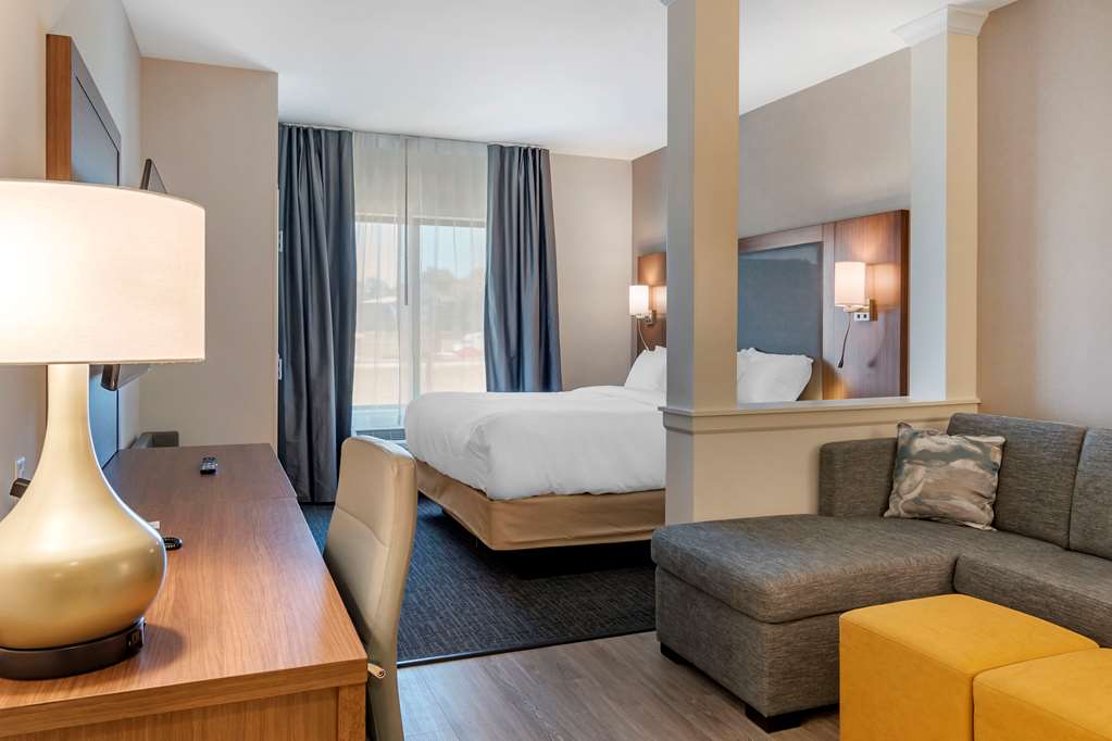 Comfort Suites Grandview Kansas City - photo 11