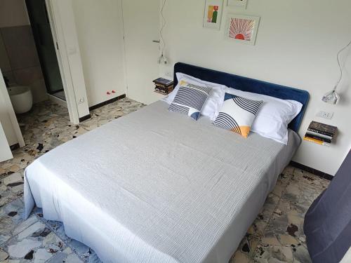 Anthemis in Il Romito, Italy