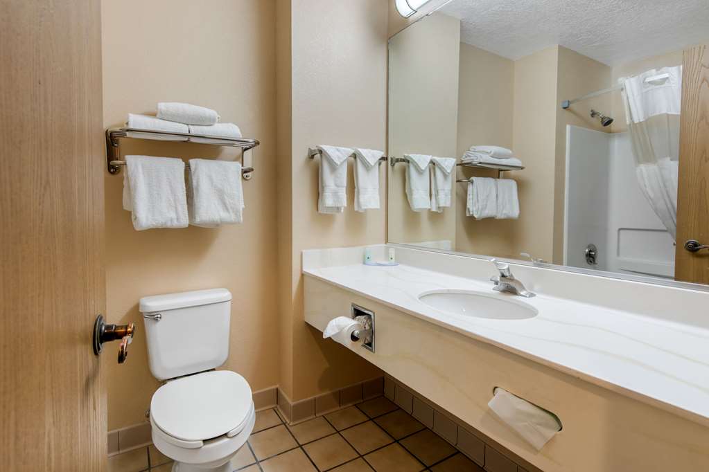 Quality Inn & Suites Albuquerque North near Balloon Fiesta Park - photo 12