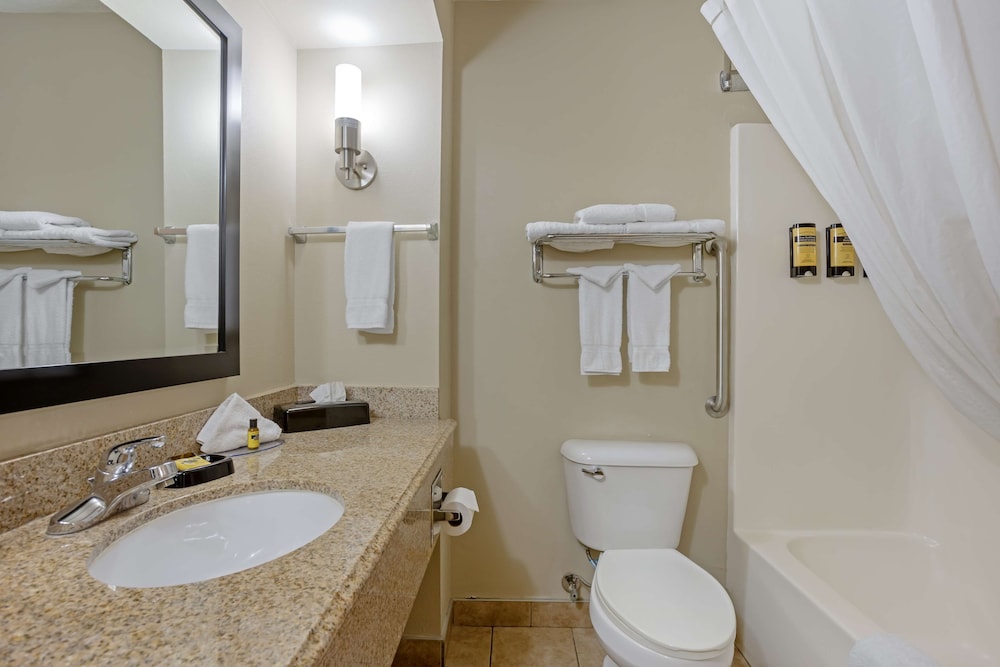 Best Western Plus Lonoke Hotel - photo 24