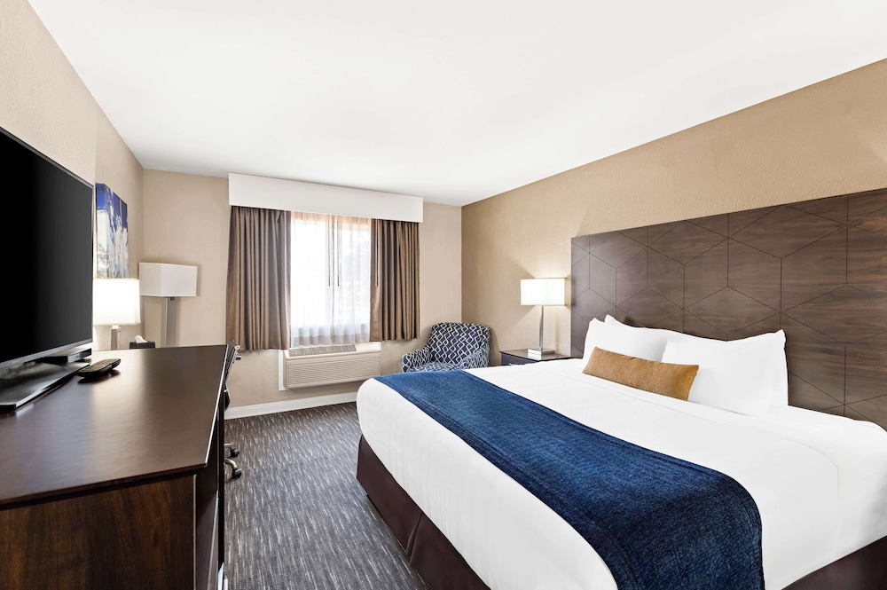 Best Western Snowflake Inn - photo 6
