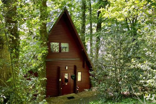 Peaceful Cowslip Lodge Finlake Spa Resort in Devon