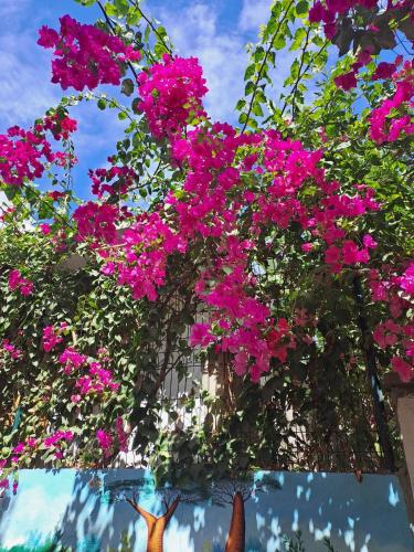 Mango Eden Hotel — Unknown City — photo 4