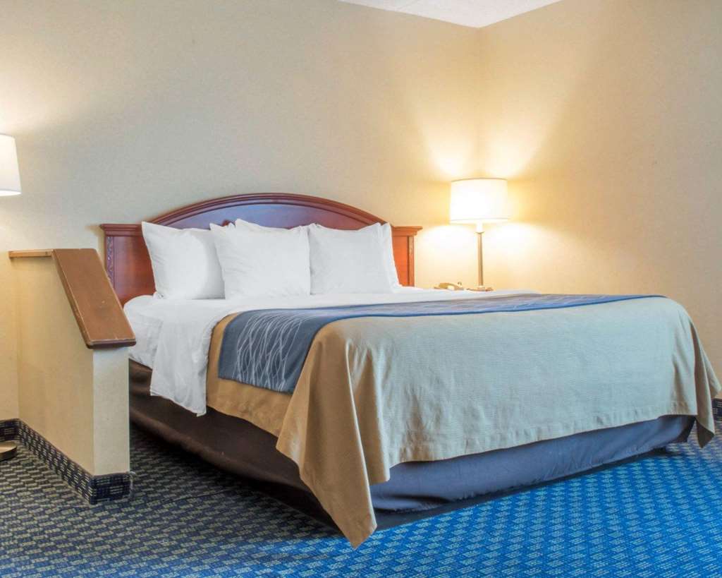 Hammock Hotel Rochester Niagara Falls - photo 24