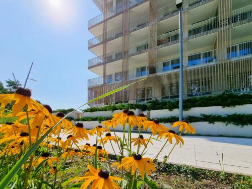 visit baltic Apartament Plażowy Casa — 4-Star Luxury Hotel in Swinoujscie, Poland