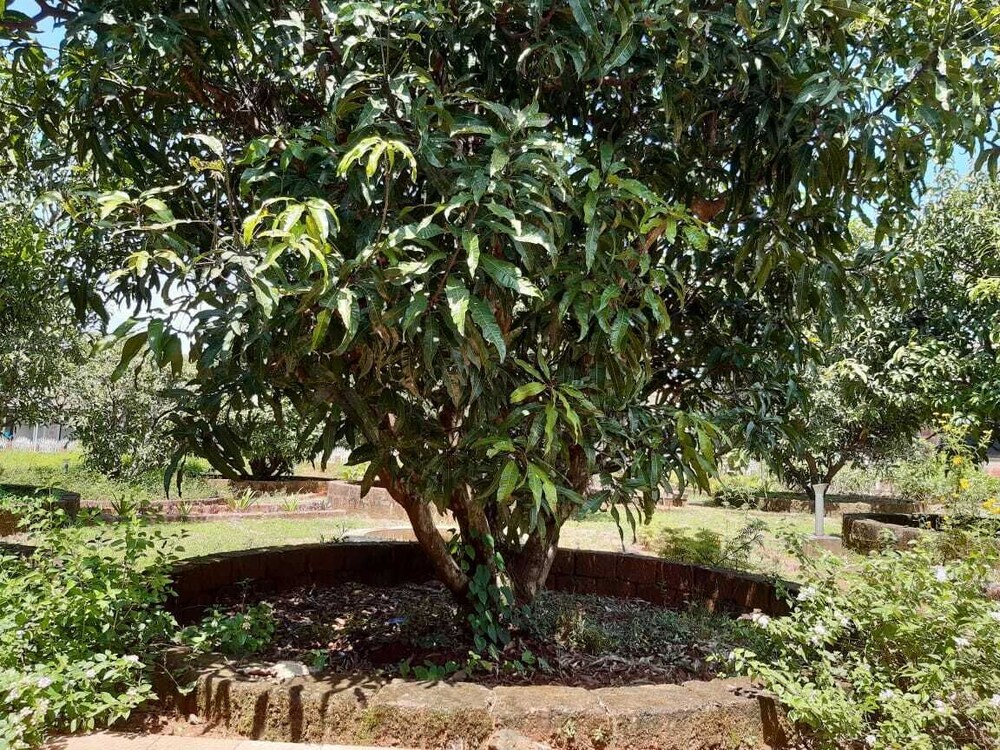 Aranya Kutir Resort — hotel in Rajapur