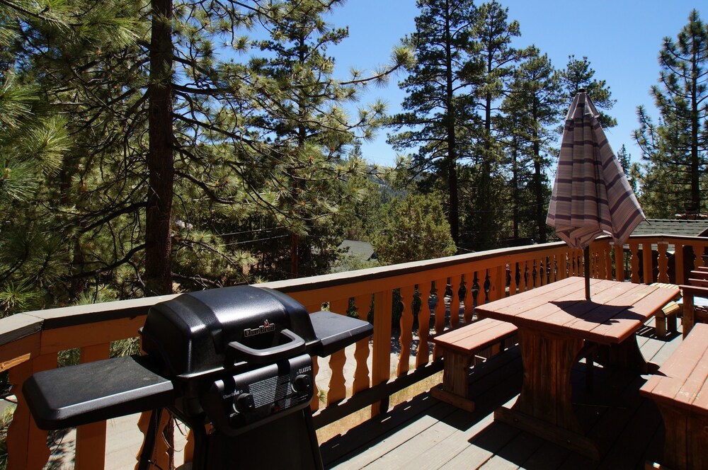 Smokey Bear's Den - photo 24