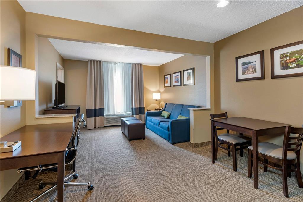 Comfort Inn & Suites Bryant Benton - photo 17