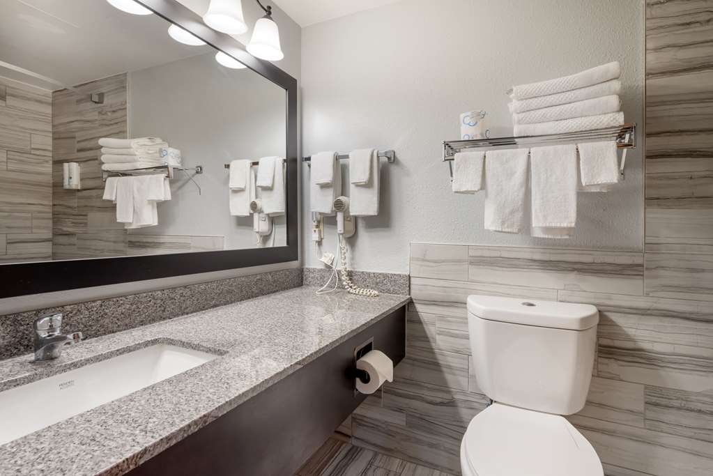 Quality Inn & Suites Mayo Clinic Area - photo 7