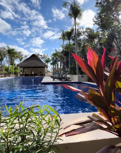 Depa en Playa 7min Mar y 5ta Av — 4-Star Luxury Hotel in Playa Del Carmen, Mexico
