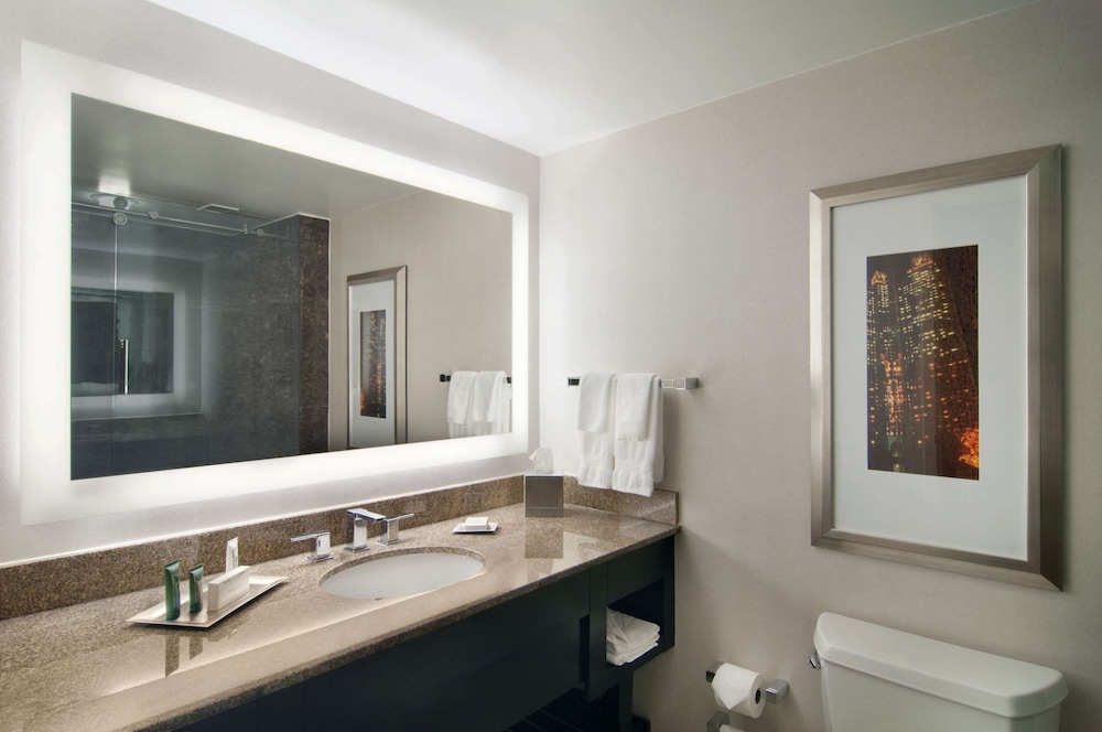 Hilton Atlanta Airport - photo 43