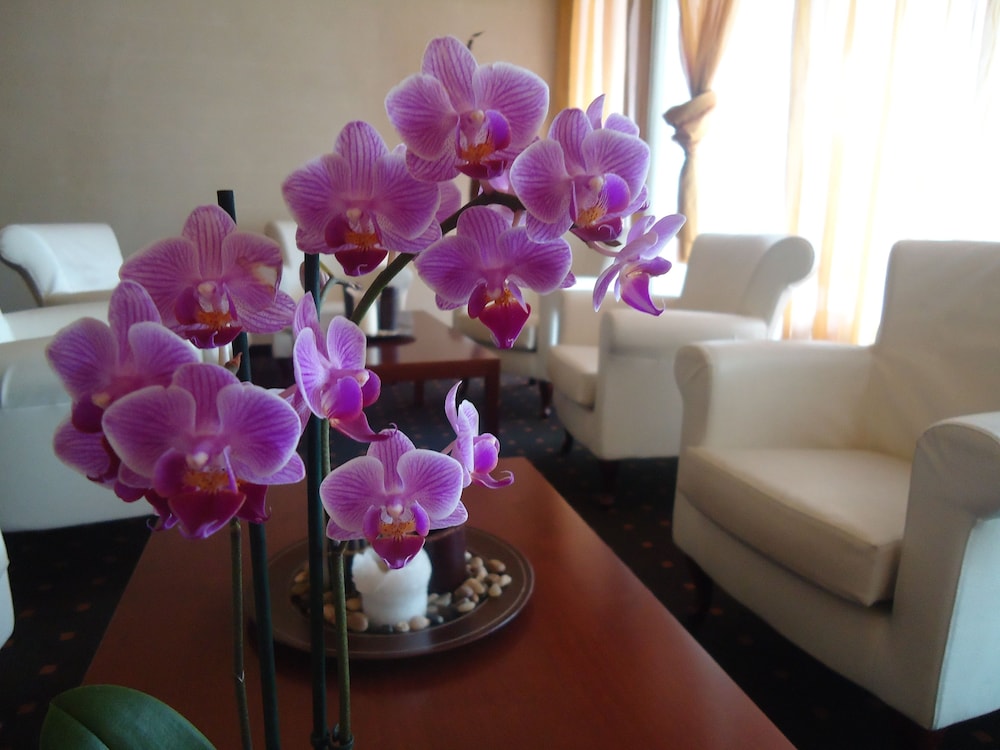 Moon Palace Hotel - last minute hotel in Arese